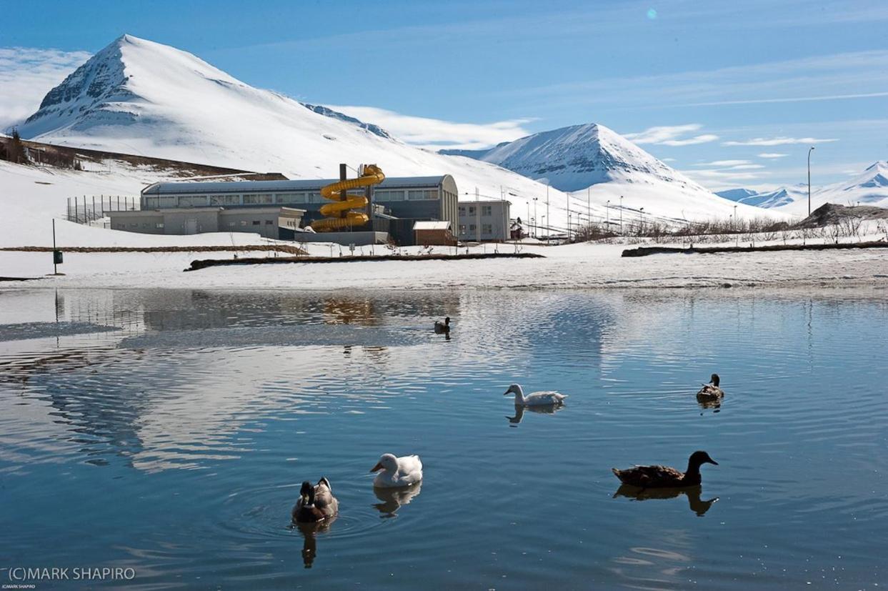The Northern Comfort Inn Olafsfjordur Екстериор снимка